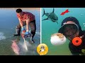 Catching Seafood 🌊🦈🦀🐙 ASMR Relaxing (Catch Shark, Fish, Deep Sea Monster) #864
