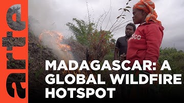 Madagascar: Fire Island | ARTE.tv Documentary