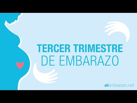 Tercer Trimestre de embarazo – Embarazo trimestre a trimestre