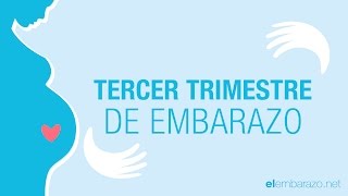 Tercer Trimestre de embarazo – Embarazo trimestre a trimestre