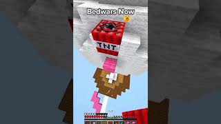 They all makes differences#shorts #minecraft #dream #technoblade #bedwars