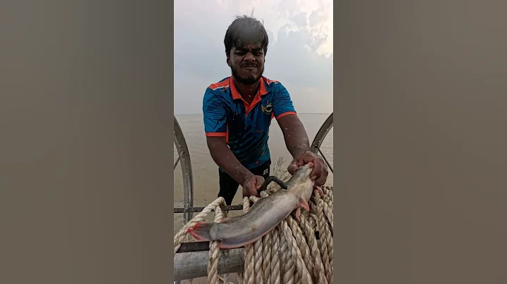 Amazing catfish bait throwing method by hook 2  #fishinglife  #riverfishing  #bait