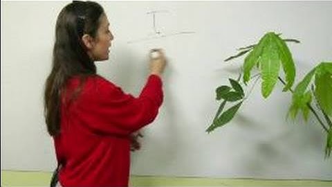 Word Choice for Public Speaking : Using Transitional Statements in Public Speaking