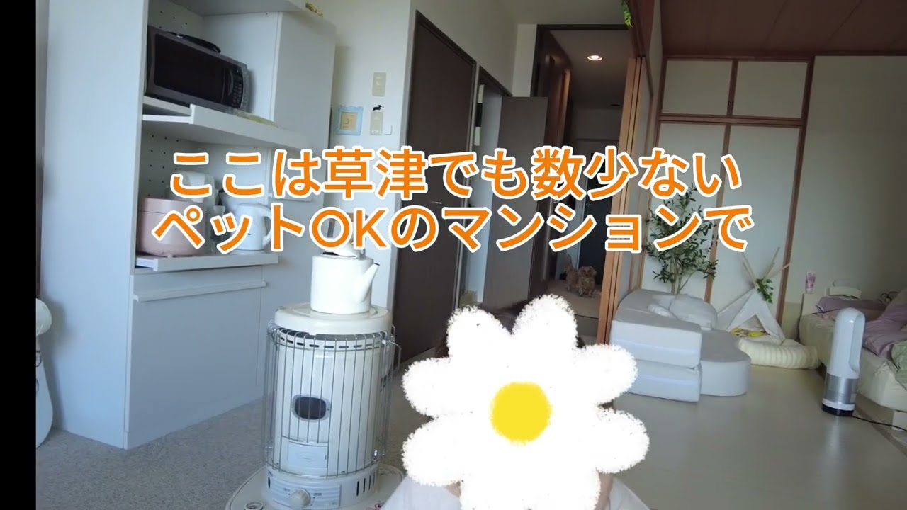 ミニチュアダックスと草津温泉