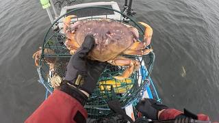 Take Down CITY! 1 Big Released and Dungeness Crab for Dinner!