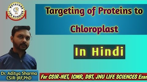 Targeting of Proteins to Chloroplast | Chloroplast By Dr. Aditya Sharma CSIR-JRF PHD, For CSIR-NET