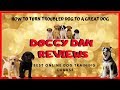 Doggy Dan Online Dog Training Review - Best Dog Obedience Training Classes Online Doggy Dan Online Dog Training Review - Best Dog Obedience Training Classes Online