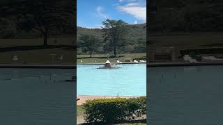 Olkaria Geothermal Spa - Kenya