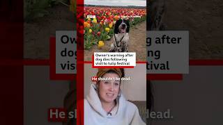 Owner's warning after dog's tulip festival death. #Yorkshire #BBCNews