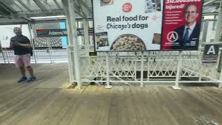 CTA 4000-Series Ride/Pink Line’s 20th Birthday