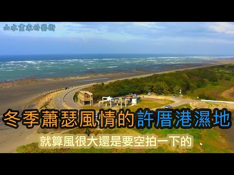 冬季蕭瑟風情的許厝港濕地【山水畫家的藝術】高畫質影像分享＃135