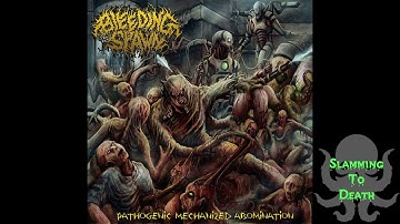 Bleeding Spawn - Butchered And Beaten