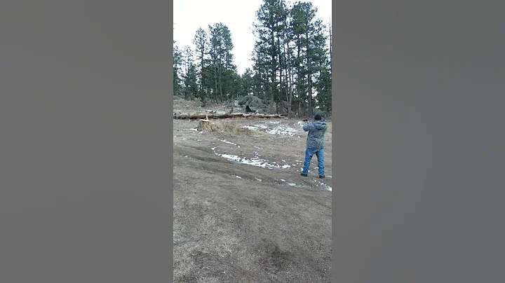 Beretta 9mm