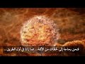 الاخصاب   ليست الأمور بتلك السهولة   YouTube