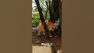 De eerste computer ter wereld - tweeduizend jaar geleden