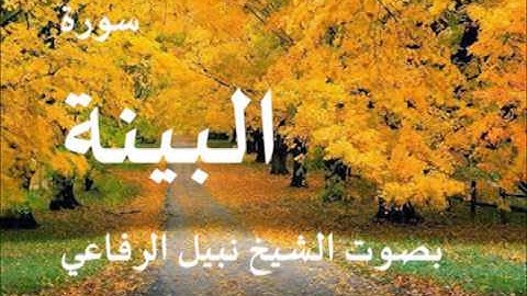 سورة البينة بصوت نبيل الرفاعي