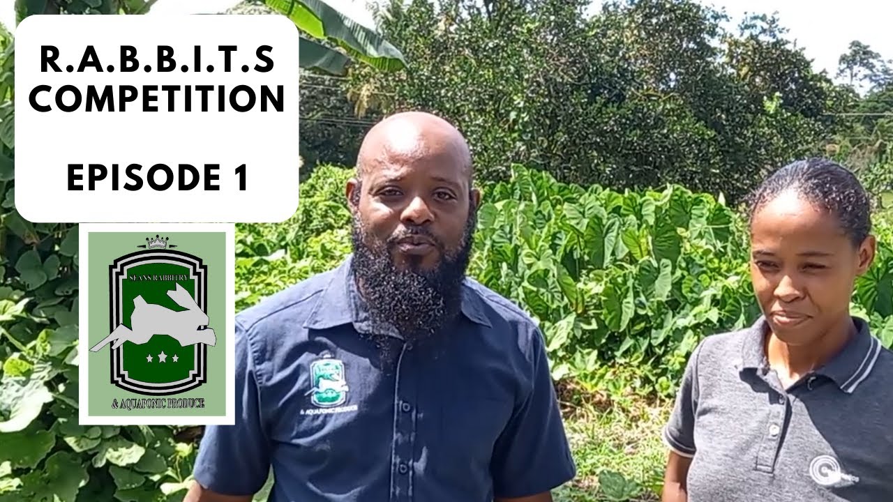 R.A.B.B.I.T.S Competition - Episode 1