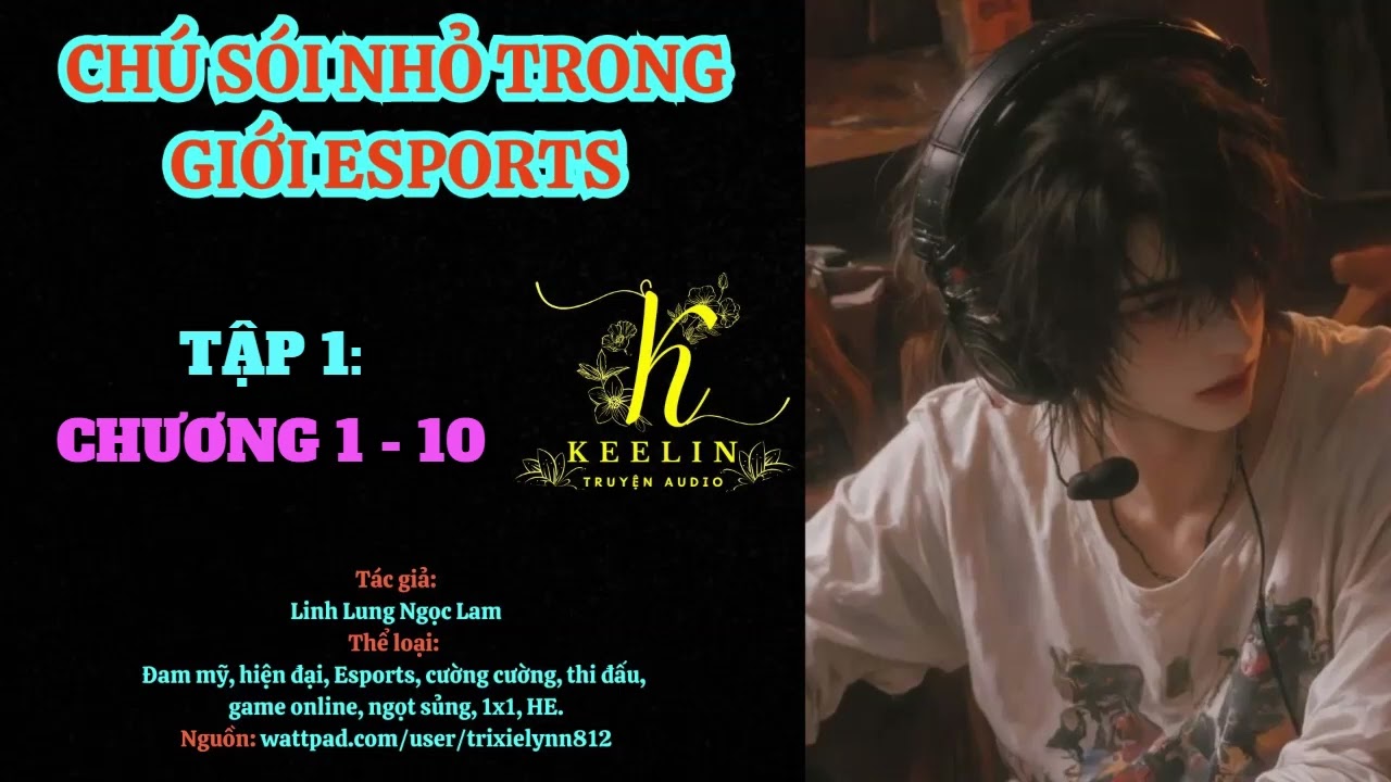 [FULL ] TẬP 1 - CHÚ SÓI NHỎ TRONG GIỚI ESPORTS (Chương 1-10) - Linh Lung Ngọc Lam - Đam mỹ Audio