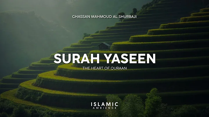 Beautiful Qur'an Recitation by Ghassan Mahmoud Al ...