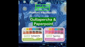 [SPIDENT] Guttapercha & Paperpoint - Product Introduction