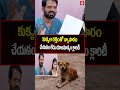 కుక్కల రక్తంతో వ్యాపారం చేయడం లేదు యాజమాన్యం క్లారిటీ|ANN Telugu