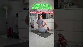 Упражнения ОТ БОЛИ В СПИНЕ | Natinfitness