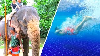 السباحة في أكبر مسبح بسريلانكا والشاور مع الفيل - سريلانكا اليوم 2