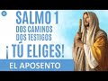 SALMO 1: DOS CAMINOS, DOS TESTIGOS.