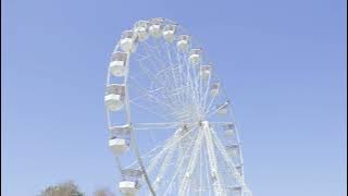 Top Things to Do in Cork 🦘 | Fota Wildlife Park & Panoramic Wheel Fun for Families, Couples & Kids