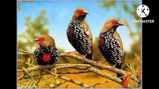 Download Lagu KOMBINASI MASTERAN PILIHAN JURI TREND 2022 MP3