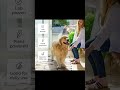 Wondercide - Flea, Tick and Mosquito Spray for Pets and Home