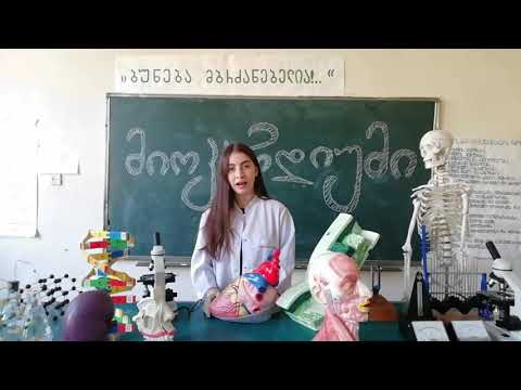 \"მიოკარდიუმი\" მე-4 საჯარო სკოლა (პროექტი \"ჩხირკედელა\")