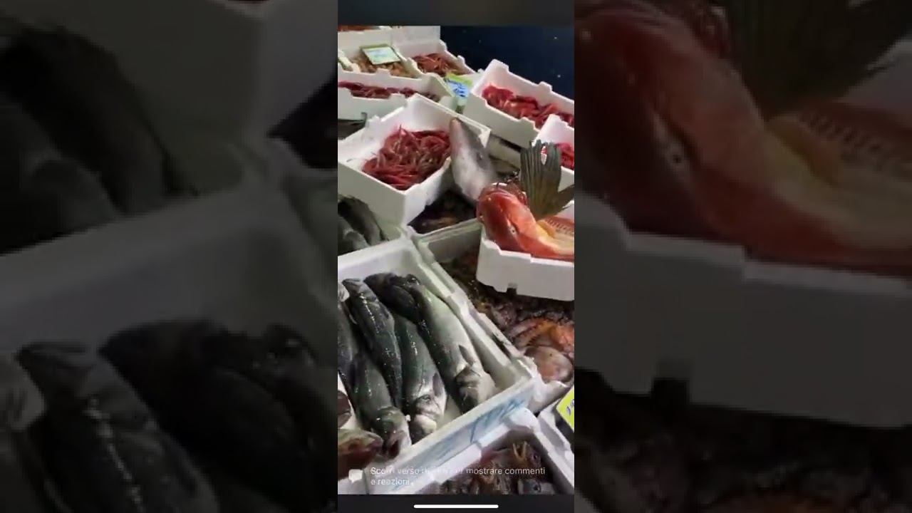 i Diamanti Del mare Super Assortiti e Con IL Sole Dentro ❤️.. Vi Aspettiamo In Tanti FACIT’ AMBRESS