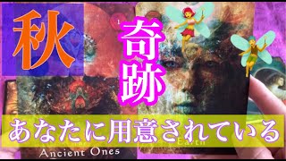 この秋あなたに起きる奇跡💗日本の神様💗🧡聞き流すだけで波動が上がる動画( ´ ▽ ` )💜🧡オラクルカード＆タロット＆ルノルマン＆日本の神様カード✨