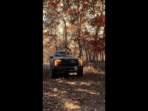 2024 F150 Raptor