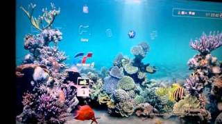 Ps3 aquarium theme