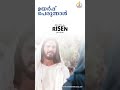 *ഉയിർപ്പ് പെരുന്നാൾ*🤍