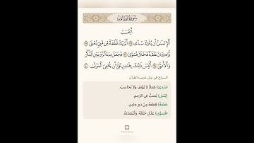 السراج في بيان غريب القران سورة القيامة 4 تلاوة الشيخ سعد الغامدي
