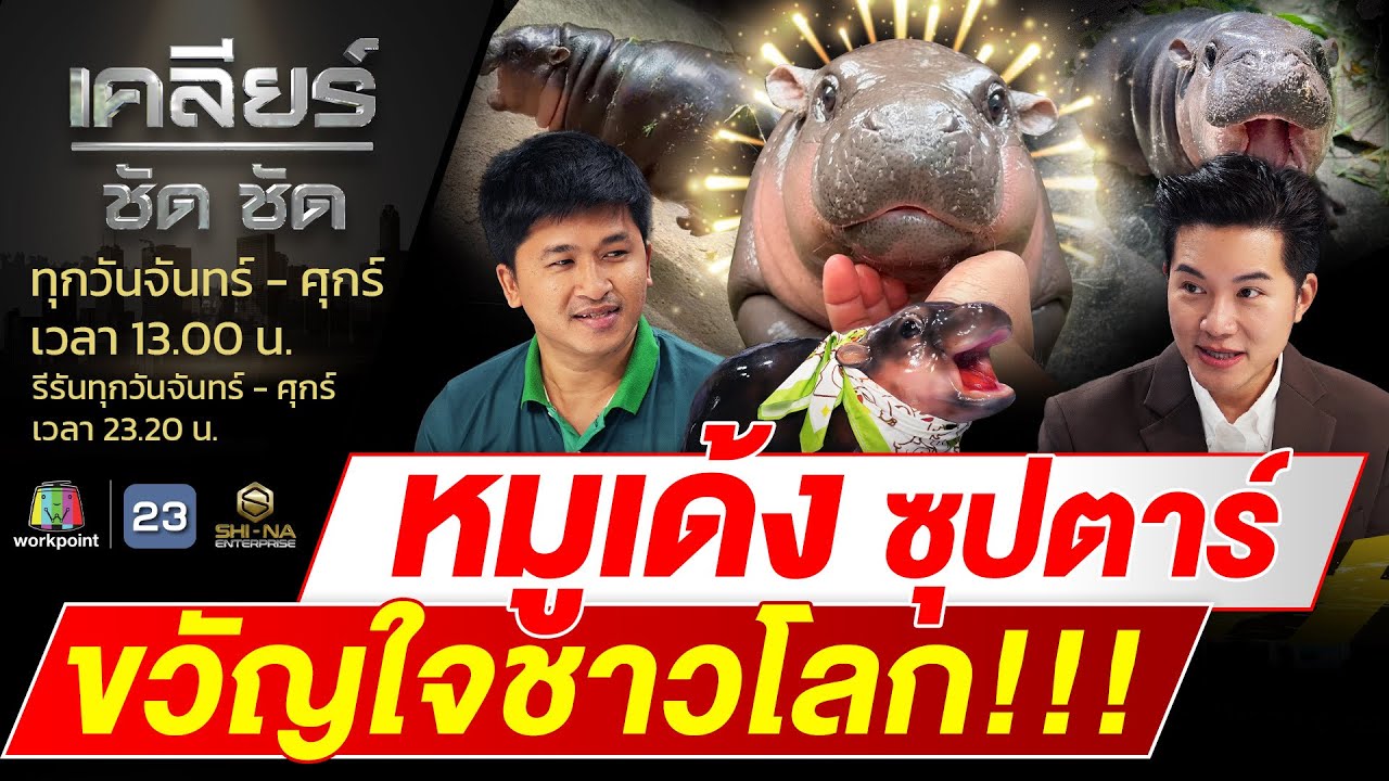 หมูเด้ง ซุปตาร์ตัวน้อยขวัญใจชาวไทย น่ารักจนชนะใจคนทั้งโลก! #เคลียร์ชัดชัด EP.504 | 5 ธ.ค. 67