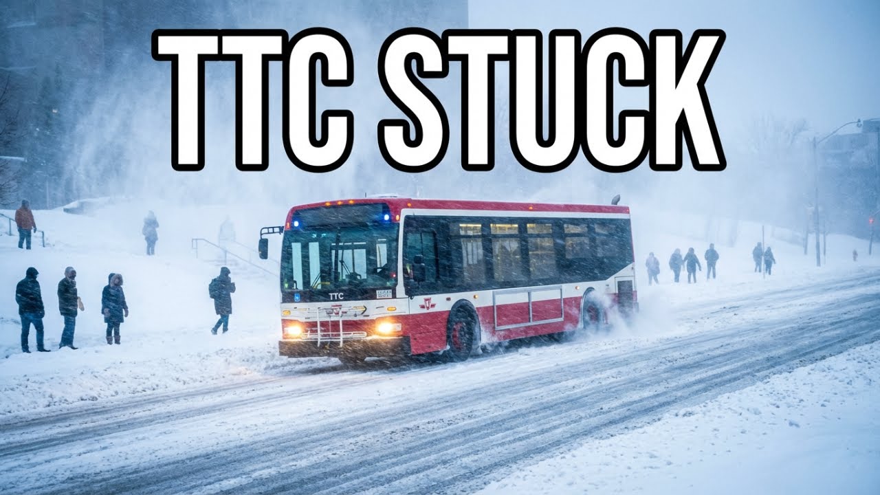 TTC Bus Stuck in Toronto Snow Storm — Hill Watch Struggles