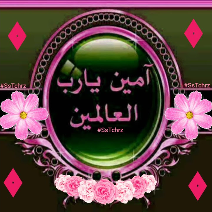 Assalam O Alaikum | Good Morning | Subha Bakhair | WhatsApp Status