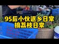 荔枝季的忙碌时节 每天都是在摘荔枝 记录我的农村生活 荔枝熟了 田园生活 荔枝季的忙碌时节 每天都是在摘荔枝 记录我的农村生活 荔枝熟了 田园生活