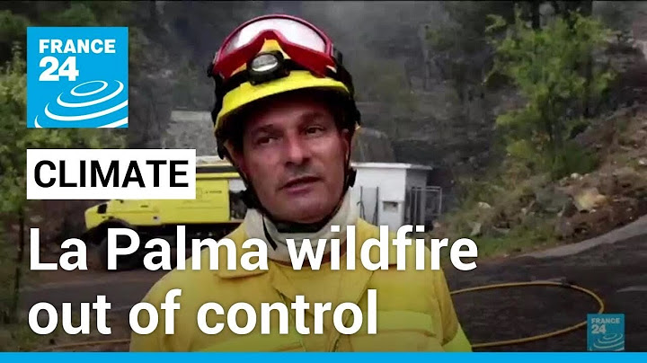 Thousands evacuated as Spanish island wildfire out of control • FRANCE 24 English
