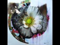 Teebs - Flower Drum Song