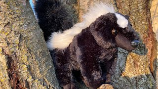 Aurora Skunk Plush Unboxing