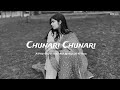 Chunari Chunari Song Slowed And Reverb LO FI Song Chunari Chunari Song Slowed And Reverb LO FI Song
