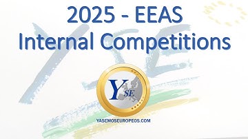 YSE webinar EEAS