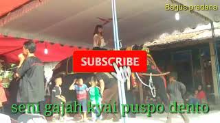 Seni Gajah kyai Puspo Dento in Karang Patihan Pulung