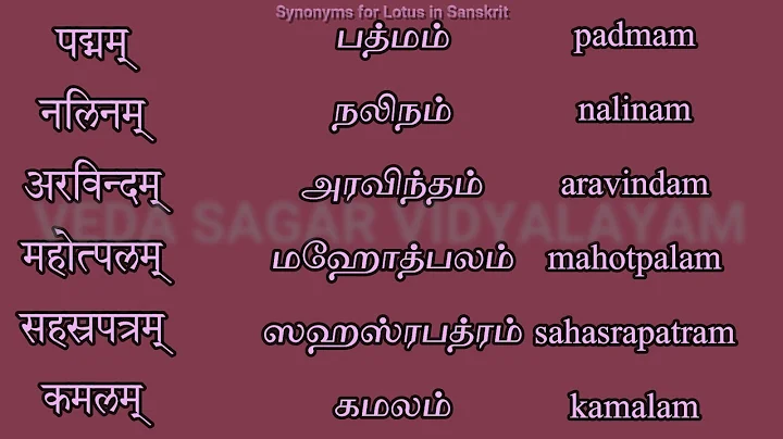 Synonyms for Lotus in Sanskrit - DayDayNews