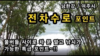 [여주]_ 남한강 전차수로 / 물버들 사이로 차문 열고 낚시 / 대규모 낚시 모임 / 경기도 여주시 대신면 양촌리